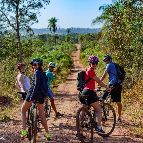 Trilhas de bicicletas